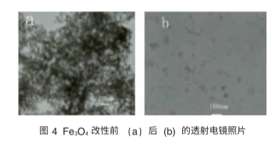 Dextran modified Fe3O4 nanoparticles(100nm)     葡聚糖修飾四氧化三鐵納米顆粒100nm