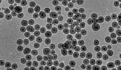 PAA @Fe3O4 nanoparticles(30nm） 聚丙烯酸修飾四氧化三鐵納米顆粒（30nm）