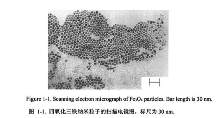 CS@Fe3O4 nanoparticles（50nm）   殼聚糖修飾四氧化三鐵納米顆粒（50nm）