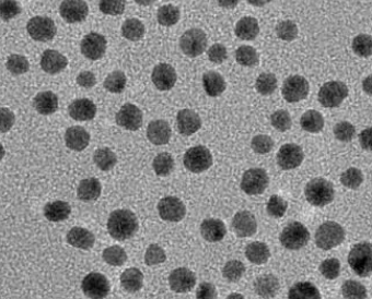 PAA @Fe3O4 nanoparticles(100nm）  聚丙烯酸修飾四氧化三鐵納米顆粒（100nm）