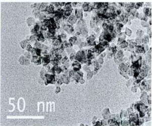 納米定制PVP@Fe3O4 nanoparticles(10nm)