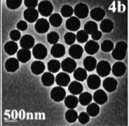 Dextran modified Fe3O4 nanoparticles(200nm)     葡聚糖修飾四氧化三鐵納米顆粒200nm