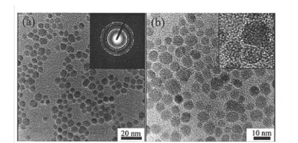 CS@Fe3O4 nanoparticles（30nm）  殼聚糖修飾四氧化三鐵納米顆粒（30nm）