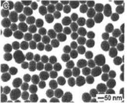 CS@Fe3O4 nanoparticles（200nm）   殼聚糖修飾四氧化三鐵納米顆粒（200nm）