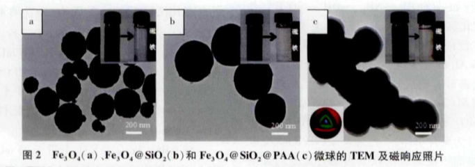 PVP@Fe3O4 nanoparticles(30nm)，粒徑可定制