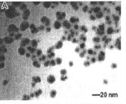 殼聚糖修飾四氧化三鐵納米顆粒（100nm）
