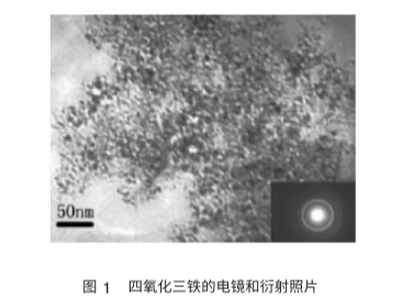 Dextran modified Fe3O4 nanoparticles(30nm)    葡聚糖修飾四氧化三鐵納米顆粒30nm
