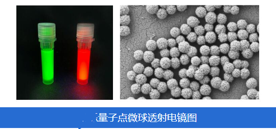 量子點微球Quantum dot microsphere QDC-1（CdSe/CdS量子點@PS熒光微球）