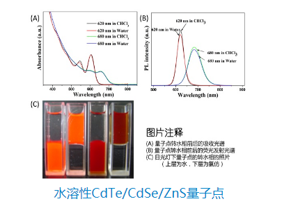 水溶性CdTe/CdSe/ZnS量子點，表面由親水配體包裹的核/殼/殼型熒光納米材料