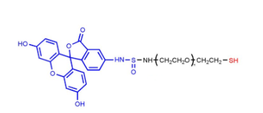 熒光素-聚乙二醇-巰基，FITC-PEG-SH，Fluoresein-PEG-Thiol，熒光素PEG巰基的結構式